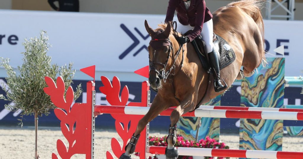 , Jeux Olympiques Isère : la caméra Coho va suivre les chevaux de l’équipe de France jusqu’aux JO