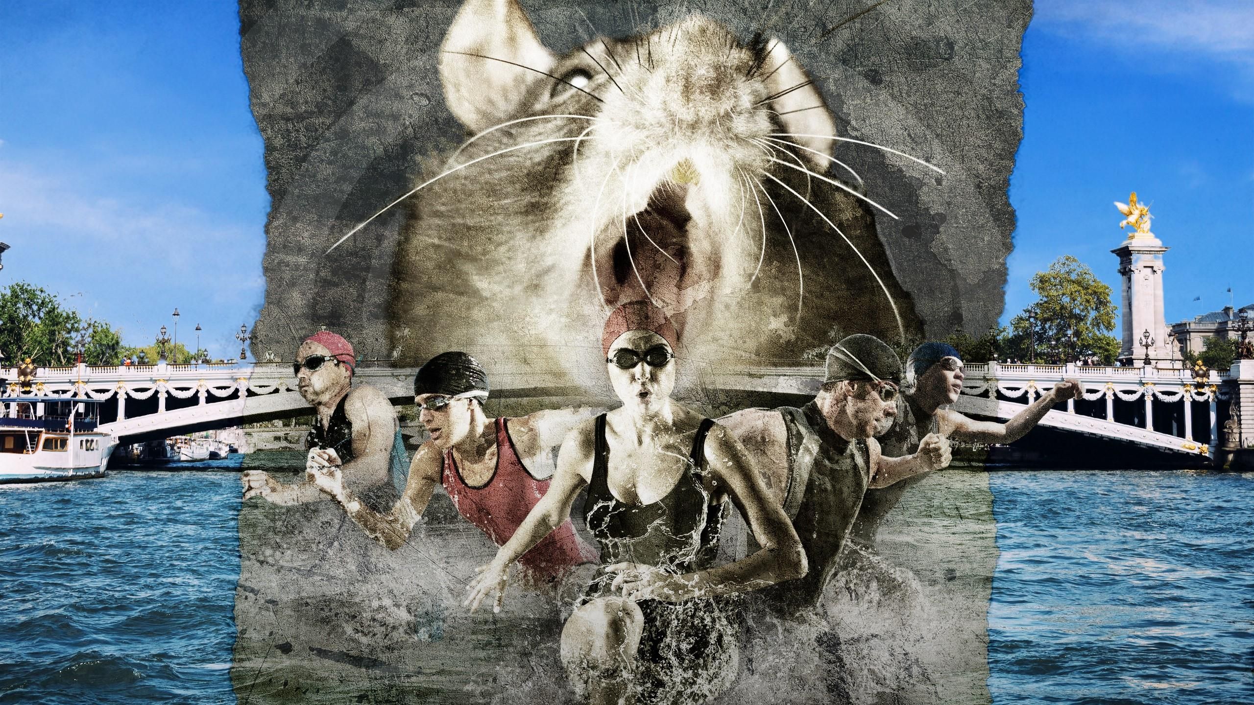 , Jeux Olympiques | Paris 2024 | « La maladie du pipi de rat », de la psychose à la réalité de la Seine